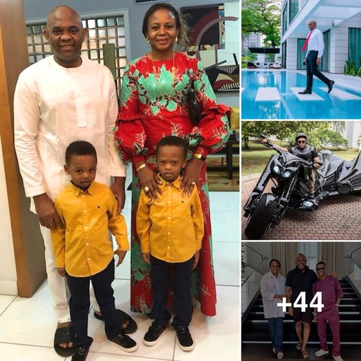 Tony Elumelu enjoys the most luxurious life in Nigeria after 60 years ...